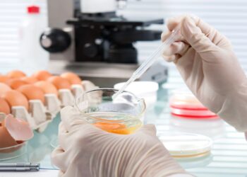 CDC salmonella outbreak